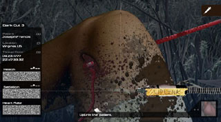 Dark Cut 3